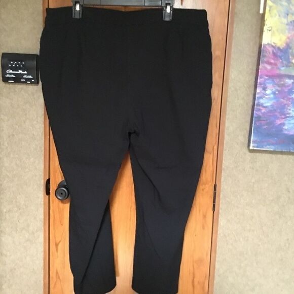 NWOT. Alfani Brand Women’s Slacks Size 22WP - Picture 4 of 6